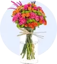 Papatya Gerbera