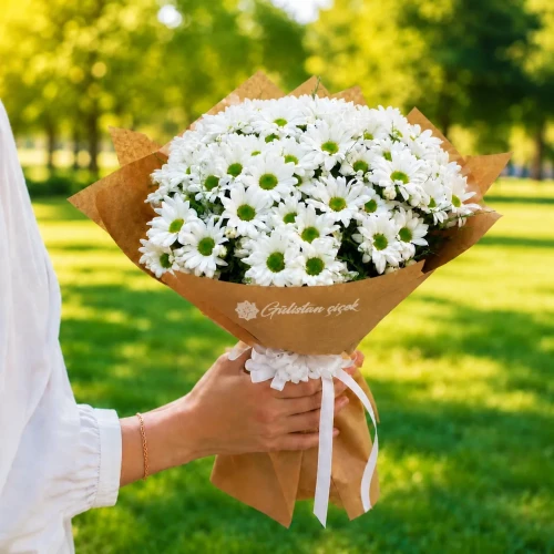 Strauß aus weißen Chrysanthemen